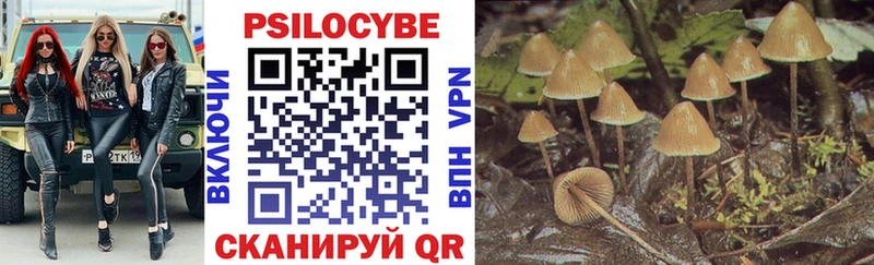 Купить закладки  Кореновск  Псилоцибиновые грибы Psilocybine cubensis 